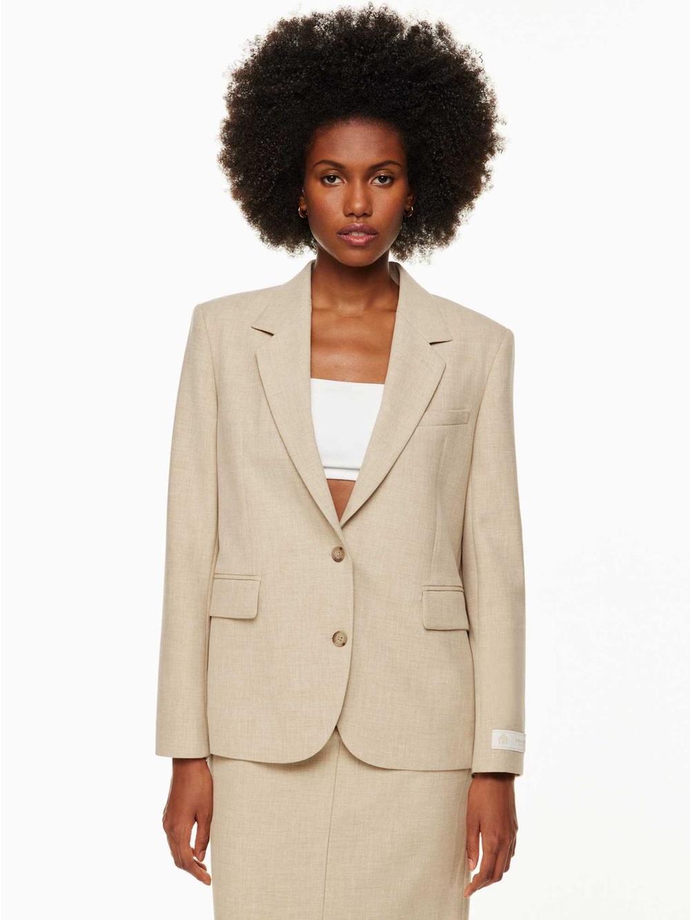 Babaton New Agency Blazer Aritzia